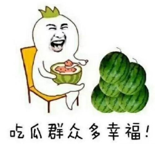 每天娱乐吃瓜,娱乐圈新鲜事速递